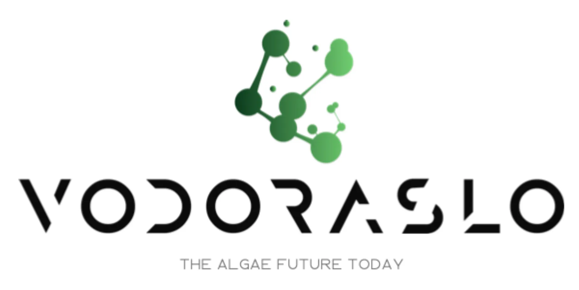 Алгая ООД - logo